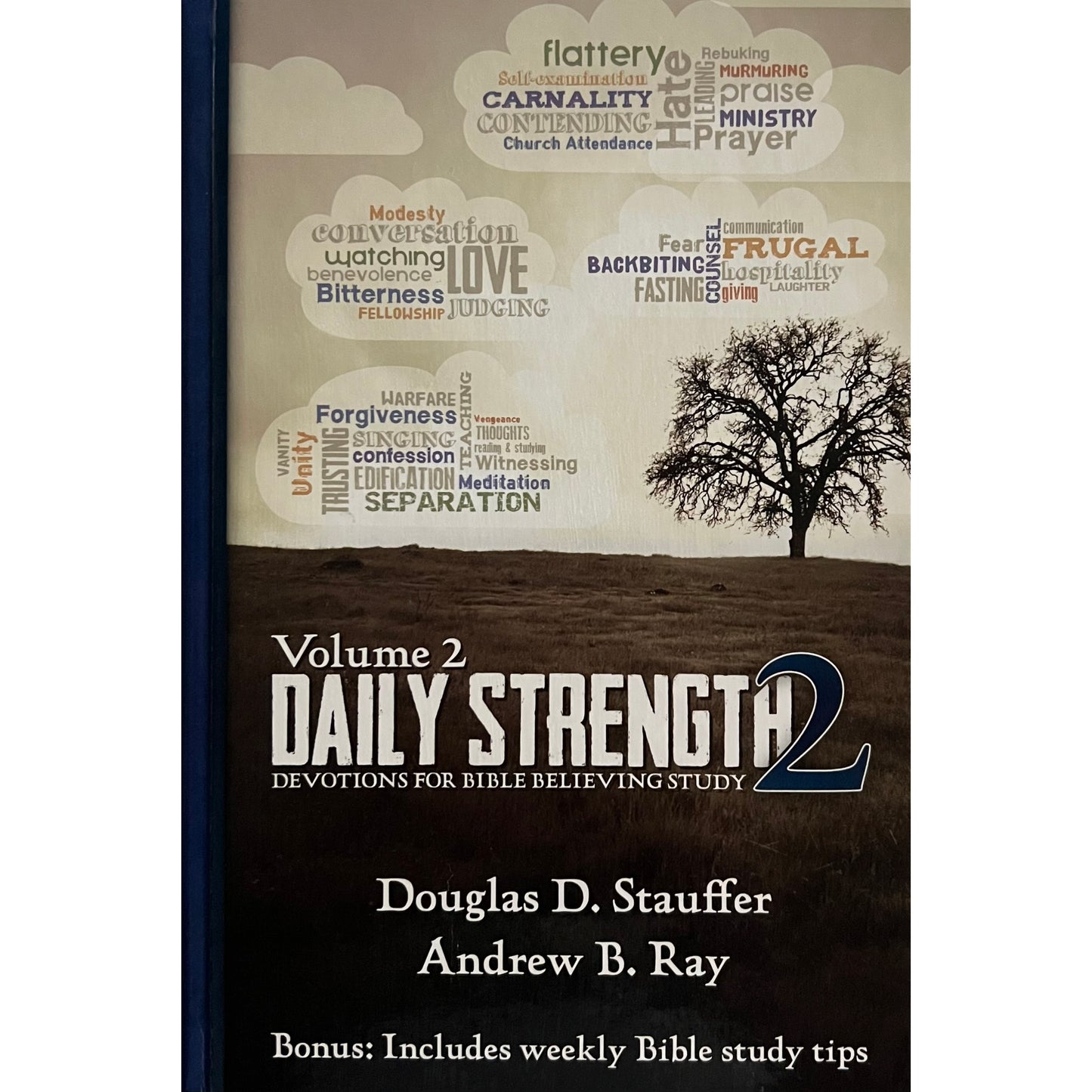 Daily Strength II: Devotions for Bible-Believing Study