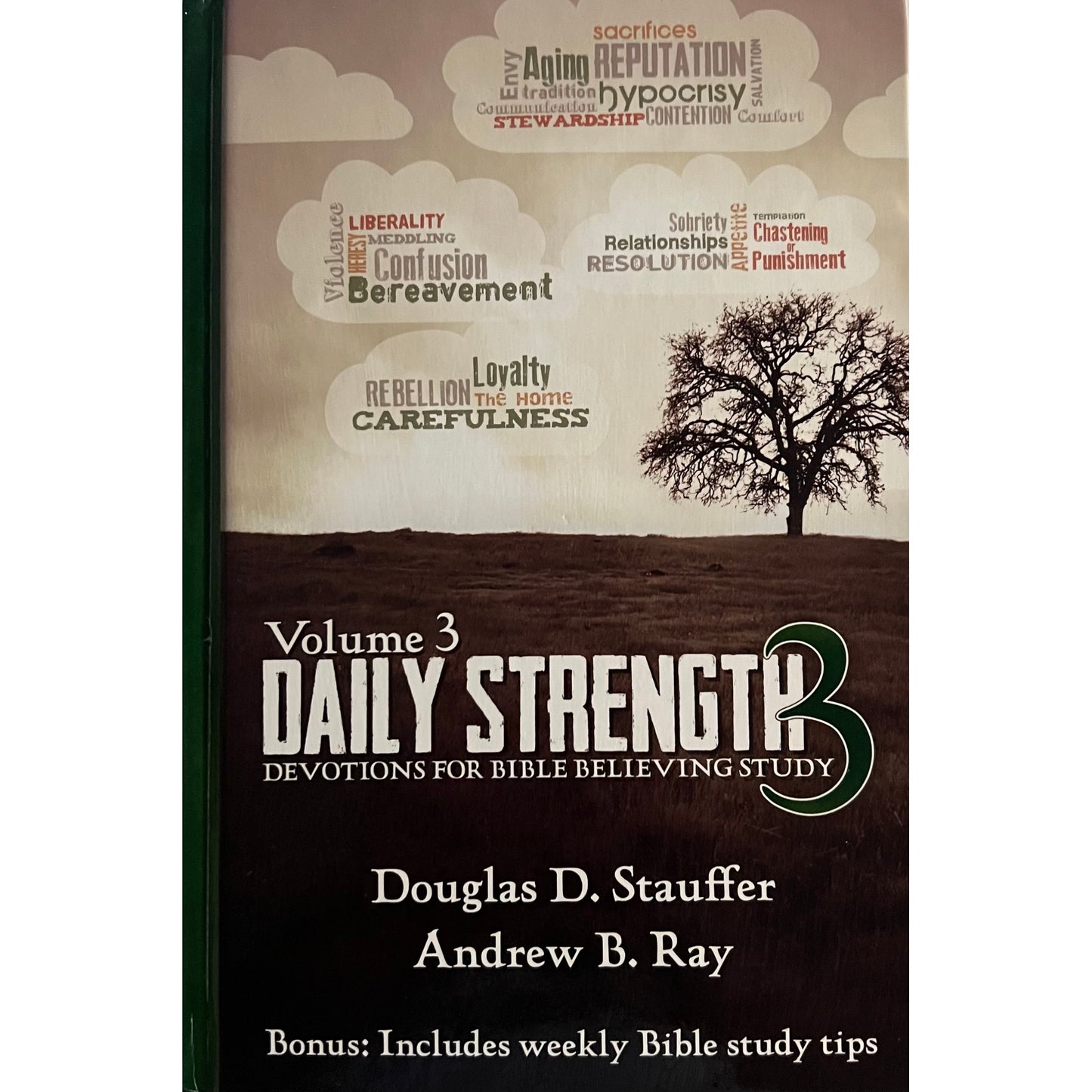 Daily Strength III: Devotions for Bible-Believing Study