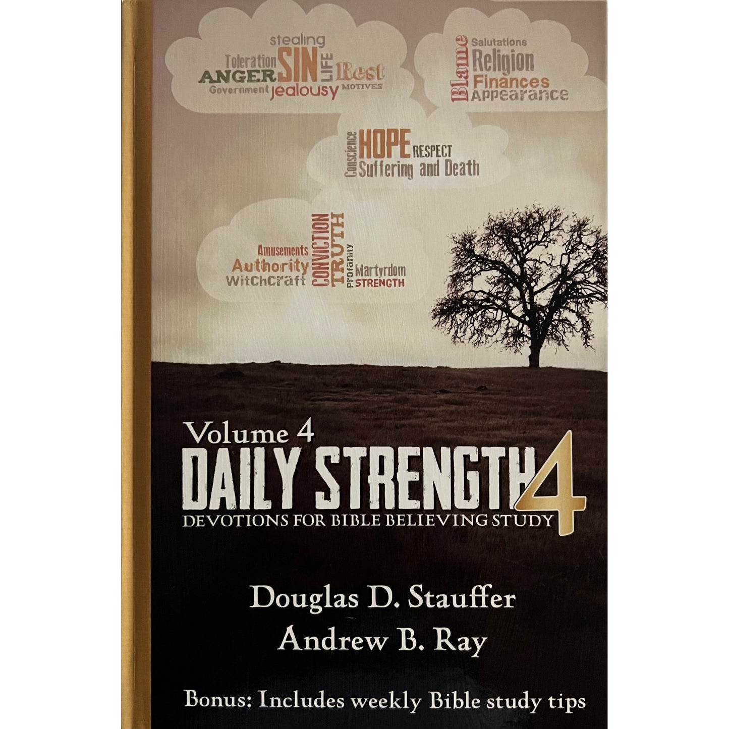 Daily Strength IV: Devotions for Bible-Believing Study