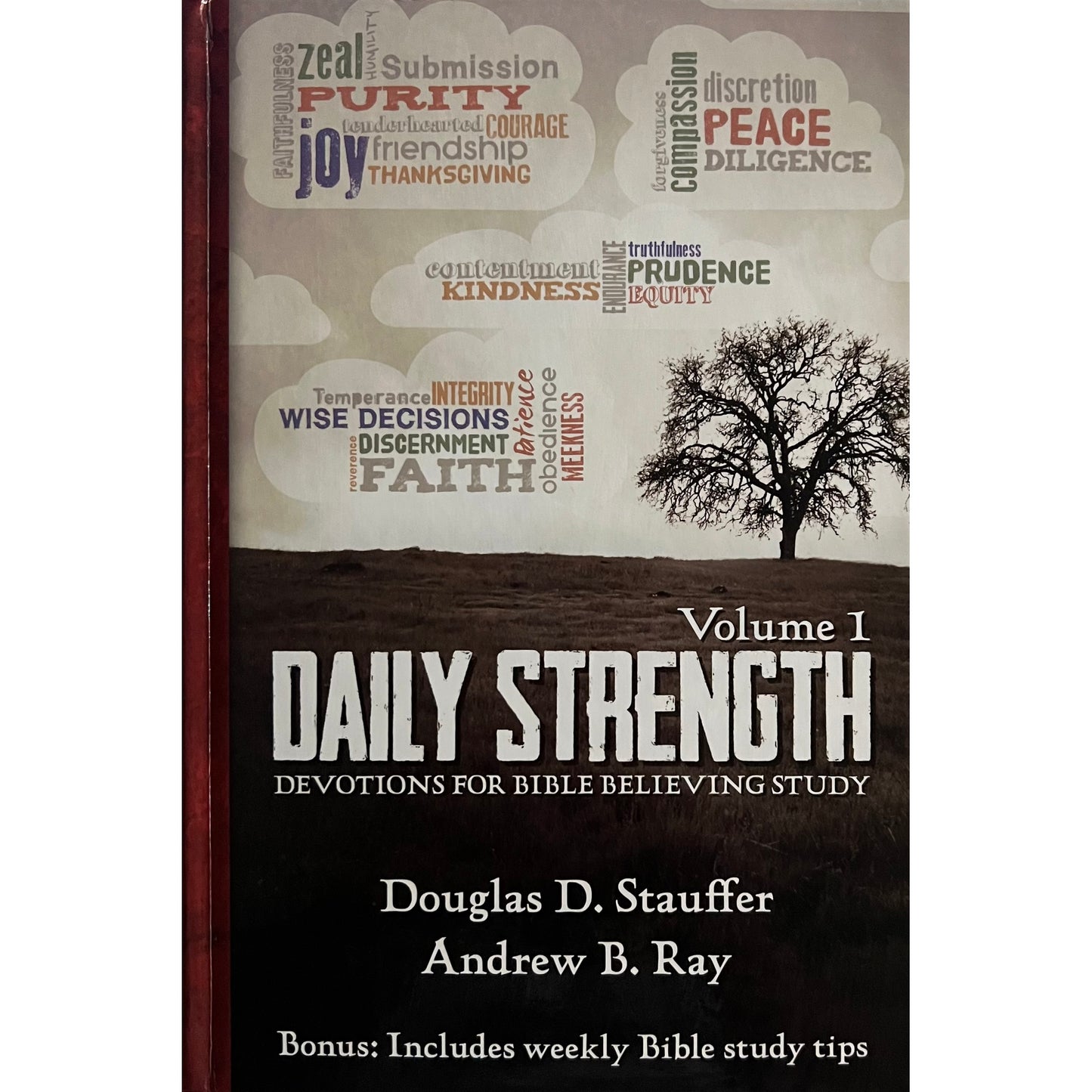 Daily Strength I: Devotions for Bible-Believing Study